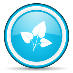 eco blue glossy icon on white background