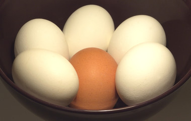 Five white and one brow Raster eggs in a bowl closeup