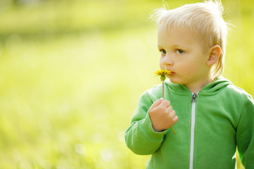 cute little boy with dandelion