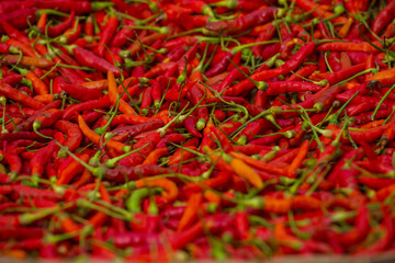 Fototapeta premium Red pepper