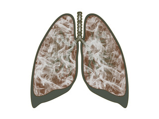 Lungs filled with smoke on white background