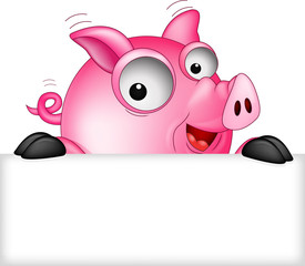funny pig cartoon with blank sign