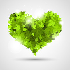 Fototapeta na wymiar Zielone serce