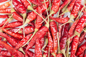 Red pepper on white background