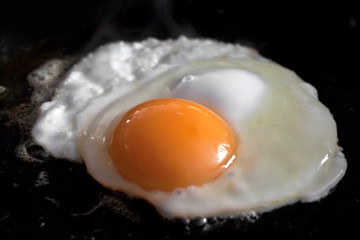 fried egg