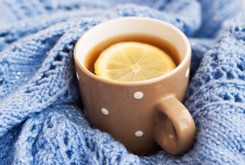 Cup of tea in the winter