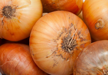 onion background