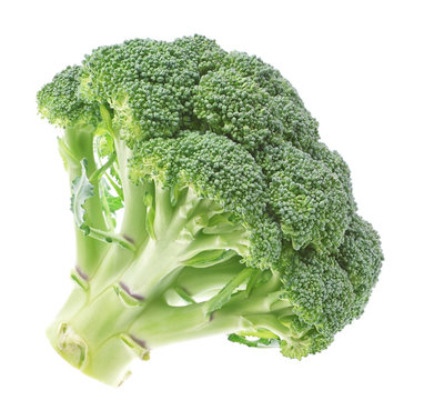 Vegetables, fresh broccoli on a white background.