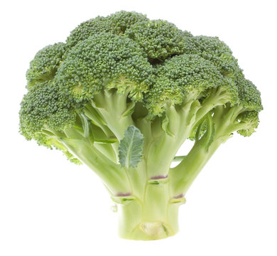 Vegetable broccoli on a white background. Close-up.