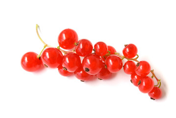 redcurrant