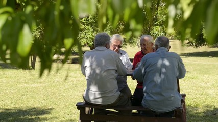 Active people, group of senior men playing cards and laughing - Powered by Adobe