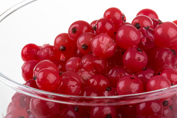 red currant
