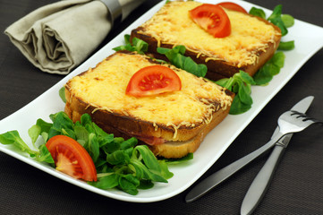 assiette de croque monsieur 2