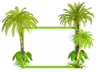 Fototapeta na wymiar Palm trees frame