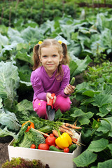 In the kitchen-garden