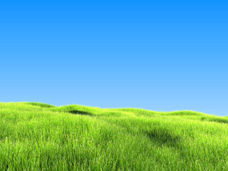 Fototapeta na wymiar Green Grass Under Clear Blue Sky