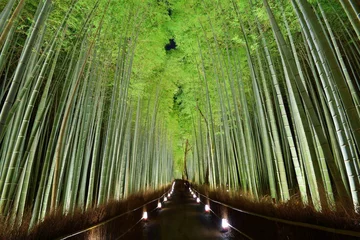 Foto op Canvas Bamboebos in Kyoto, Japan © SeanPavonePhoto