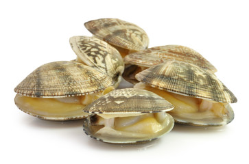 Almejas.