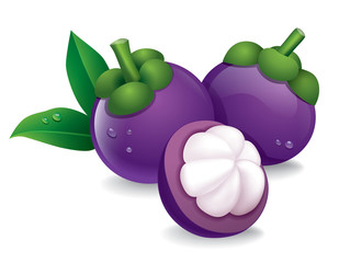 Mangosteen
