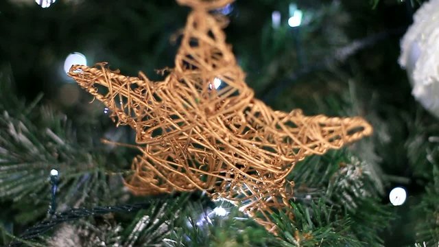 Etoile de Noel