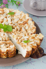 Cottage cheese pie with apples and cut piece