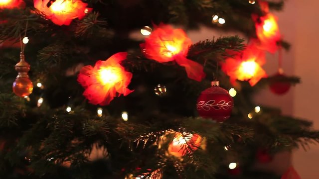 F&ecirc;te de noel autours d'un sapin