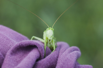 Hi!....
