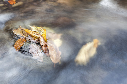Autumn....