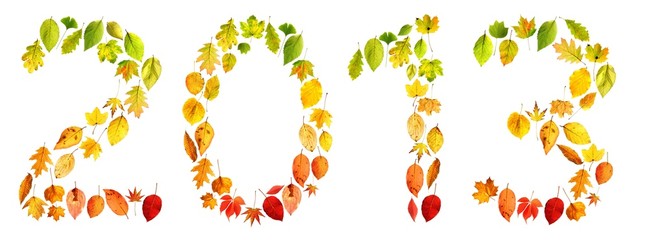2013 Herbstblätter