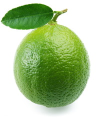 Fototapeta na wymiar Lime with leaf.