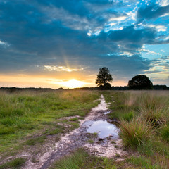 Heathland Trail Sunset