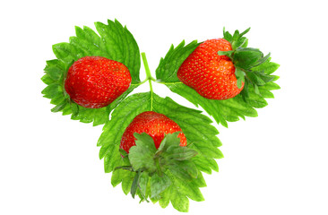 A heap of strawberries on green foliage. Isolated