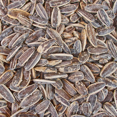 tasty sunflower seeds, food background