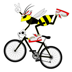 Fototapeta premium Freestyle sport wasp