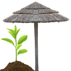 concept écologie, protection nature