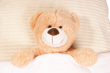 Teddy Bear lying in the bed