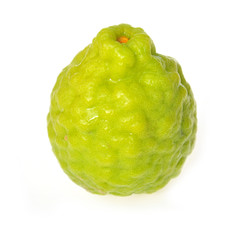 Kaffir lime
