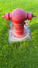 Fototapeta na wymiar Czerwony hydrant