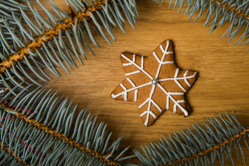Fototapeta na wymiar Decorated homemade gingerbread cookies