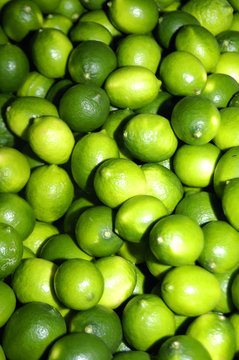 Fresh and green lemons