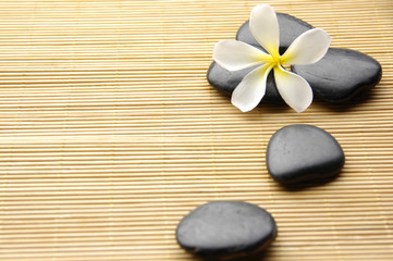 Fototapeta na wymiar zen kamienie z frangipani kwiaty ułożone na pokładzie bambusa