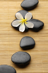 Fototapeta na wymiar frangipani kwiat z kamieni spa na pokładzie bambusa