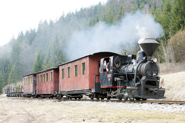 Fototapeta na wymiar pociąg parowy, Ciernohronska Railway, Słowacja