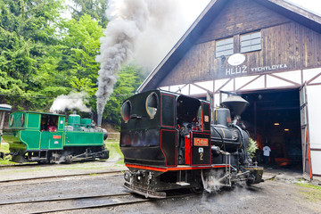 steam locomotives,Museum of Kysuce village,Vychylovka, Slovakia