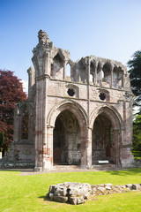 Fototapeta na wymiar ruins of Dryburgh Abbey, Scottish Borders, Scotland