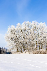 winter landscape, Czech Republic