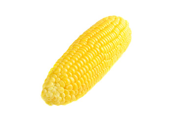 Corn cob
