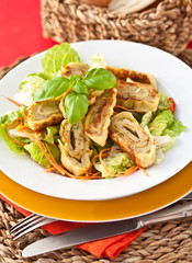 Maultaschen - Swabian Pockets with Meat