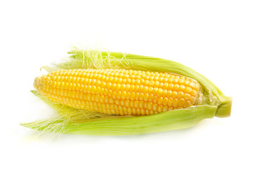 Corn cob