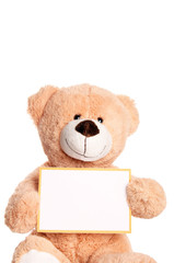 Teddy Bear with empty Sign
